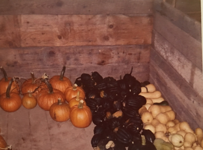 squash in the bin