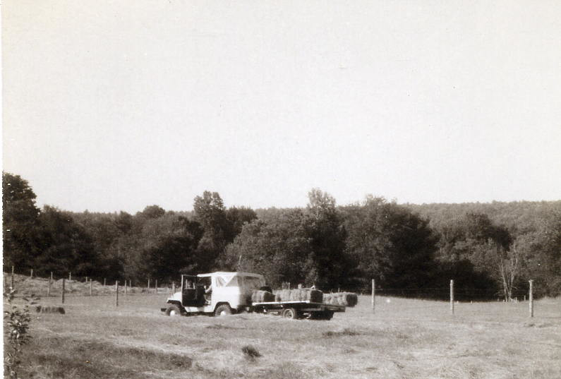 bringing in the bales