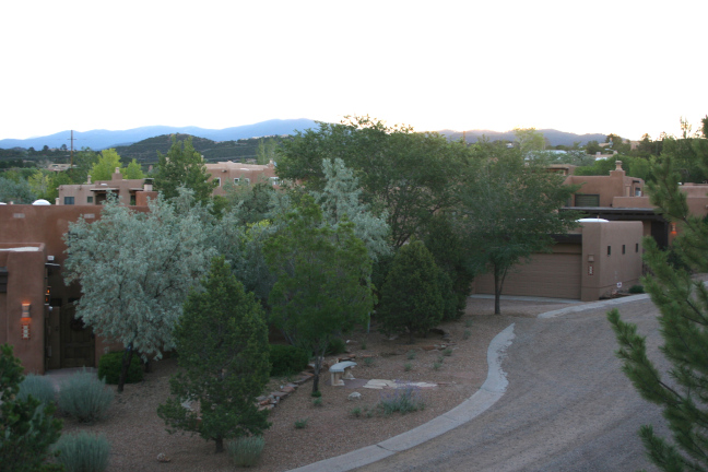 Our neighborhood road