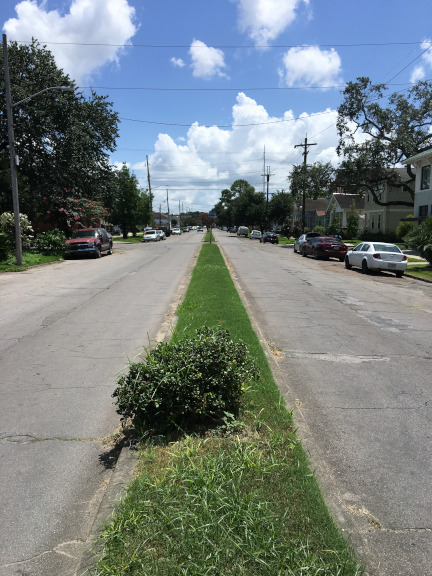 Ursulines Avenue without oaks