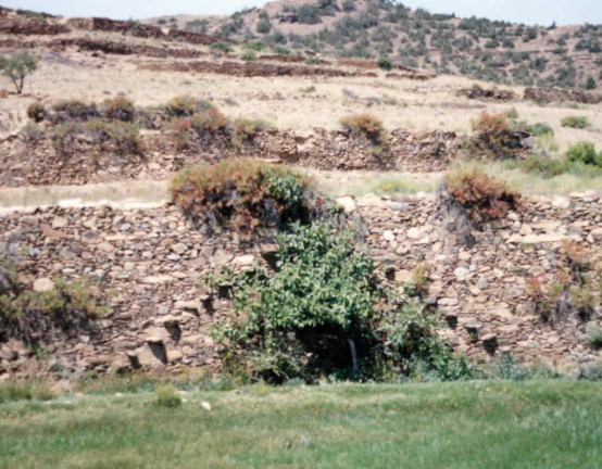 terrace steps