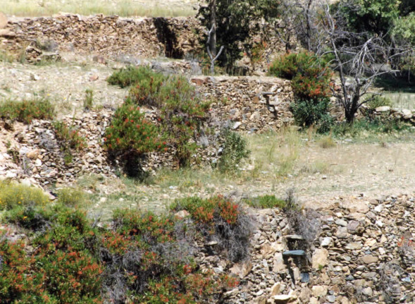 terraces with steps