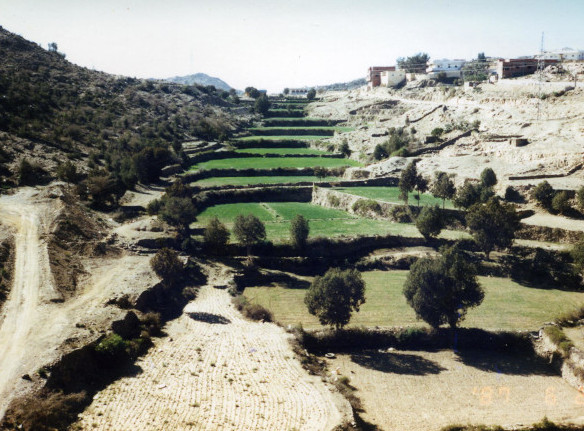 Terraced farms in Baha