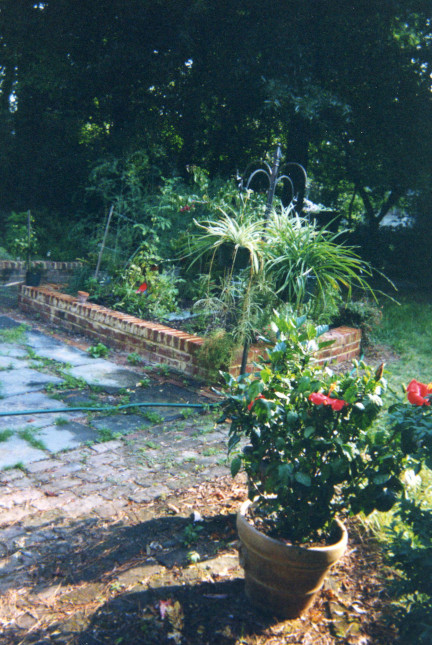 raised bed planter