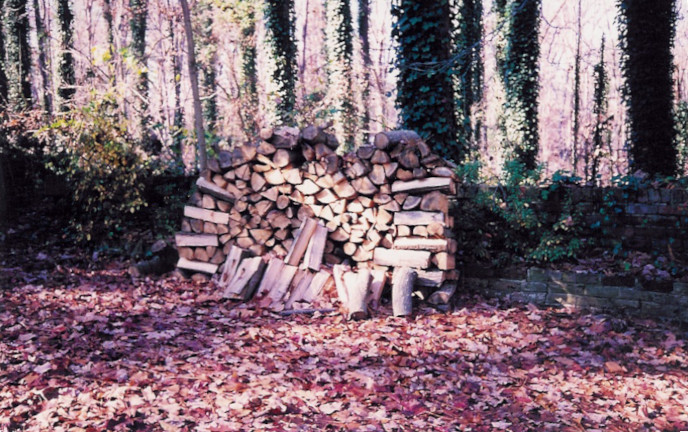 firewood