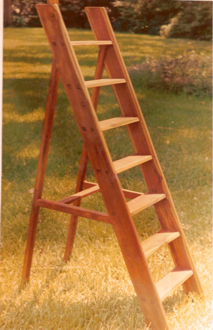 Library ladder